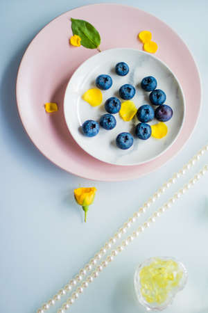 beautiful bluberries - fresh fruits and healthy eating styled conceptの写真素材