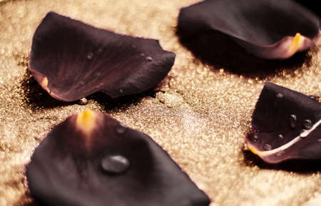 black rose flower petals - wedding, holiday and floral garden styled conceptの写真素材