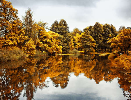 fall scenery, beauty of autumn - nature and environment concept