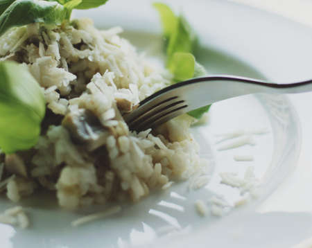 european and mediterranean cuisine styled concept - mushroom risotto recipe, elegant visualsの写真素材