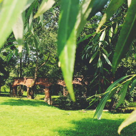 spring landscape scenery - beauty in nature, landscapes and environment concept, elegant visualsの写真素材