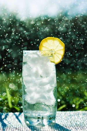 drinks, cocktails and celebration styled concept - lemon cocktail on the grass, summer picnic, elegant visualsの写真素材