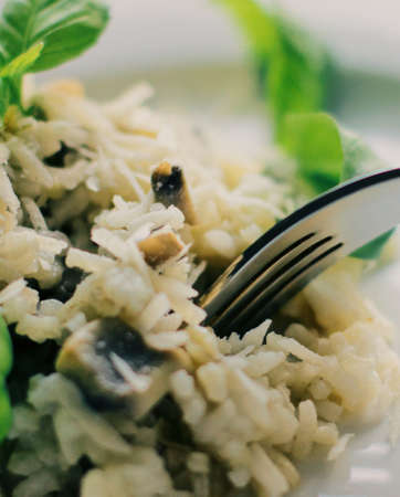 european and mediterranean cuisine styled concept - mushroom risotto recipe, elegant visualsの写真素材