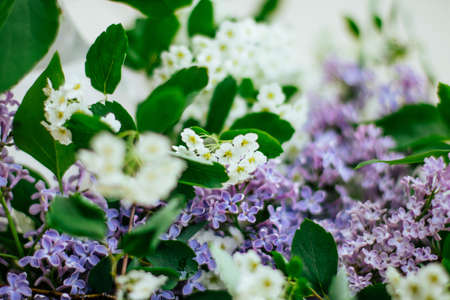 floral blossom - wedding, holiday and flower garden styled concept, elegant visualsの写真素材