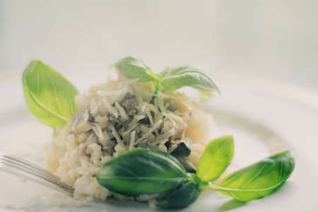 european and mediterranean cuisine styled concept - mushroom risotto recipe, elegant visualsの写真素材