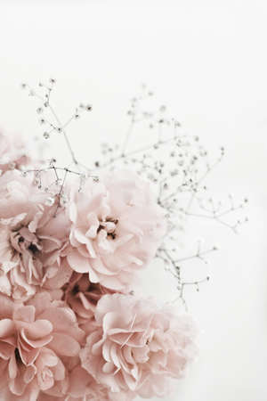 rose flower blossom - wedding, holiday and floral garden styled concept, elegant visualsの写真素材