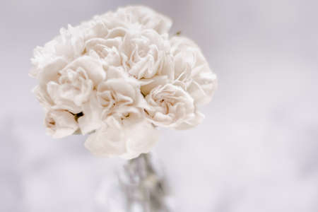 Bridal bouquet of white roses - wedding day, floral beauty, luxury event decoration concept. The happiest day of our livesの写真素材