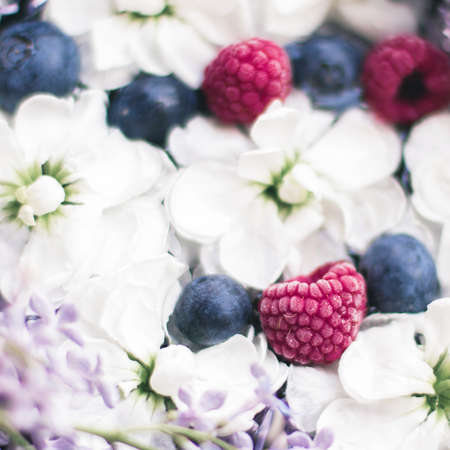 Pretty flowers in springtime - botanical backgrounds, spring and summer nature and dream garden concept. Floral beauty in bloomの写真素材