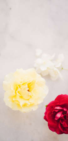 Beautiful floral flatlay composition - wedding decor, florist designed and perfect garden concept. The flowers of loveの写真素材