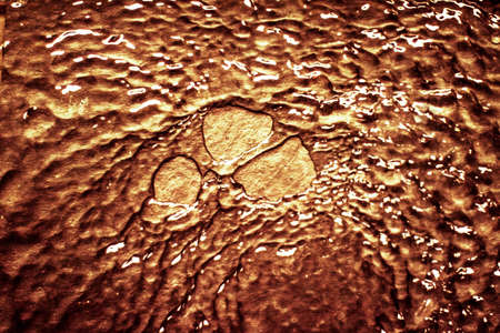 Flowing liquid on gold surface - luxury background and abstract design concept. Golden sourceの写真素材