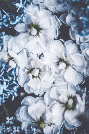 Botanical backdrop, nature and gardening concept - Vintage flowers in a dream garden, floral backgroundの写真素材