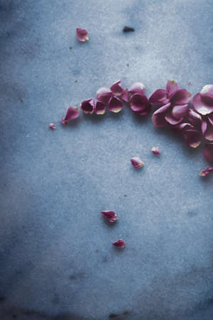 Art of flowers, wedding invitation and nature beauty concept - Rose petals on marble stone, floral...
