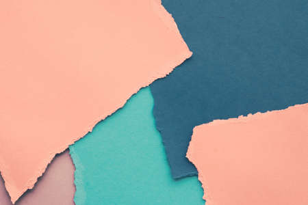 Brand identity, graphic design and back to school concept - Torn paper textured background,...