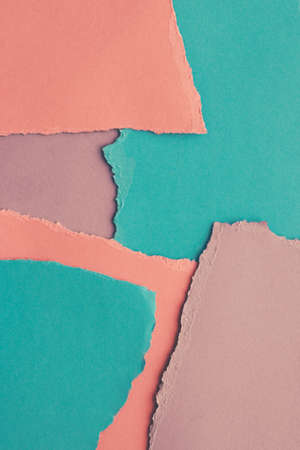 Brand identity, graphic design and back to school concept - Torn paper textured background, stationery mockupの写真素材