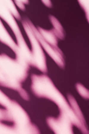 Brand design, textured effect and artistic backdrop concept - Abstract art, botanical shadows overlay on blush pink background for holiday luxury and vintage flatlay designの写真素材