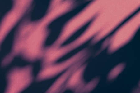 Brand design, textured effect and artistic backdrop concept - Abstract art, botanical shadows...