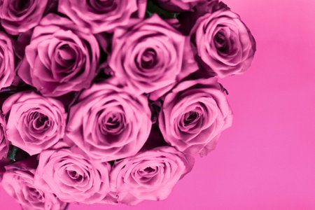 Blooming rose, flower blossom and Valentines Day gift concept - Luxury bouquet of purple roses, flowers in bloom as floral holiday backgroundの写真素材