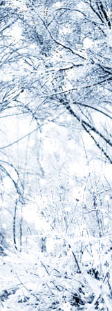 Snowing landscape, greeting card design and New Years Eve travel concept - Winter holiday...