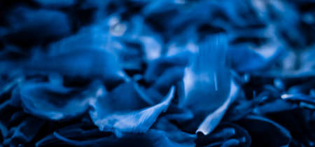 Branding, blossom and botanical concept - Abstract floral holiday art background, blue blooming flower petals in dream garden and beauty in nature for luxury spa brand and wedding invitation designの写真素材