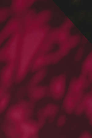 Brand design, textured effect and artistic backdrop concept - Abstract art, botanical shadows overlay on maroon background for holiday luxury and vintage flatlay designの写真素材