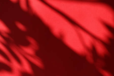 Brand design, textured effect and artistic backdrop concept - Abstract art, botanical shadows overlay on red background for holiday luxury and vintage flatlay designの写真素材