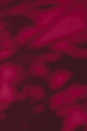 Brand design, textured effect and artistic backdrop concept - Abstract art, botanical shadows overlay on maroon background for holiday luxury and vintage flatlay designの写真素材