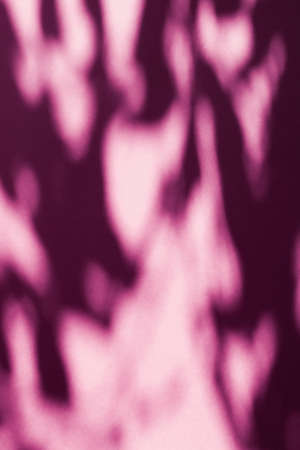 Brand design, textured effect and artistic backdrop concept - Abstract art, botanical shadows...