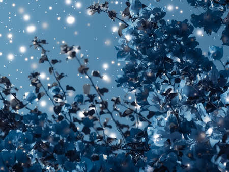 Magical, branding and festive concept - Christmas, New Years blue floral nature background, holiday...
