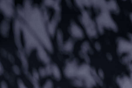 Brand design, textured effect and artistic backdrop concept - Abstract art, botanical shadows...