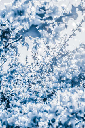 Magical, branding and festive concept - Christmas, New Years blue floral nature background, holiday...
