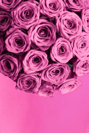Blooming rose, flower blossom and Valentines Day gift concept - Luxury bouquet of purple roses, flowers in bloom as floral holiday backgroundの写真素材