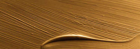 Art, branding and makeup concept - Cosmetics abstract texture background, golden acrylic paint brush...