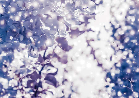 Magical, branding and festive concept - Christmas, New Years purple floral nature background, holiday card design, flower tree and snow glitter as winter season sale backdrop for luxury beauty brandの写真素材