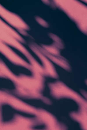 Brand design, textured effect and artistic backdrop concept - Abstract art, botanical shadows overlay on pink background for holiday luxury and vintage flatlay designの写真素材