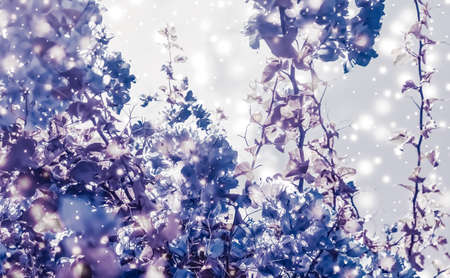 Magical, branding and festive concept - Christmas, New Years purple floral nature background,...