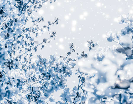 Magical, branding and festive concept - Christmas, New Years blue floral nature background, holiday...