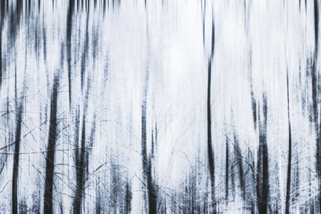 Holidays branding, fantasy and fairy tale concept - Winter season abstract nature art print and Christmas landscape holiday background, snowy magical forest as luxury brand postcard design backdropの写真素材