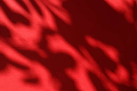 Brand design, textured effect and artistic backdrop concept - Abstract art, botanical shadows...