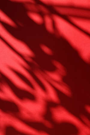 Brand design, textured effect and artistic backdrop concept - Abstract art, botanical shadows...