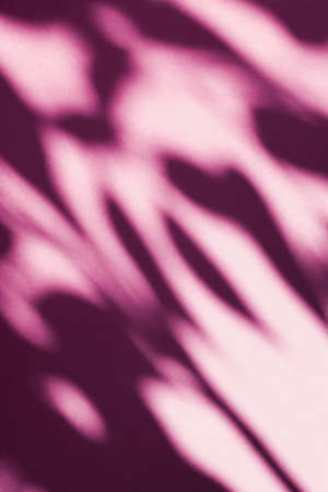 Brand design, textured effect and artistic backdrop concept - Abstract art, botanical shadows...