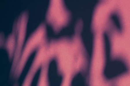 Brand design, textured effect and artistic backdrop concept - Abstract art, botanical shadows overlay on pink background for holiday luxury and vintage flatlay designの写真素材