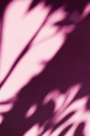 Brand design, textured effect and artistic backdrop concept - Abstract art, botanical shadows...