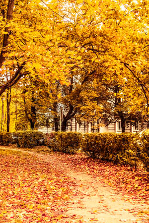 Seasonal travel, retro backdrop and rural environment concept - Beautiful autumn landscape...