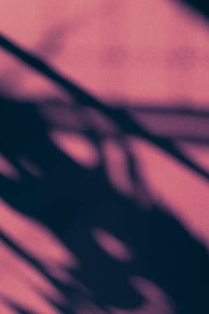 Brand design, textured effect and artistic backdrop concept - Abstract art, botanical shadows overlay on pink background for holiday luxury and vintage flatlay designの写真素材