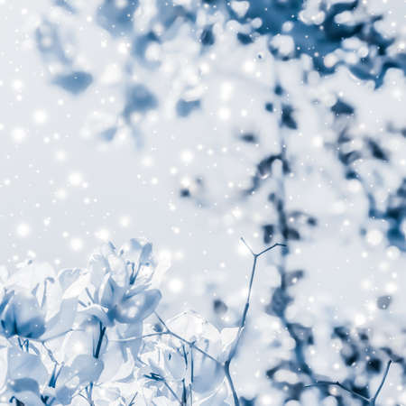 Magical, branding and festive concept - Christmas, New Years blue floral nature background, holiday card design, flower tree and snow glitter as winter season sale backdrop for luxury beauty brandの写真素材