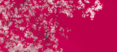 Flower trend, branding card and botanical decoration concept - Floral abstract art on maroon...