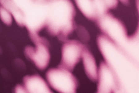 Brand design, textured effect and artistic backdrop concept - Abstract art, botanical shadows...
