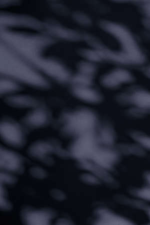 Brand design, textured effect and artistic backdrop concept - Abstract art, botanical shadows...
