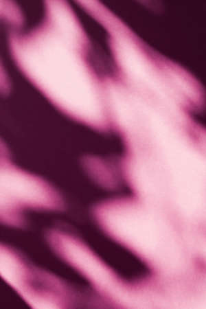 Brand design, textured effect and artistic backdrop concept - Abstract art, botanical shadows overlay on blush pink background for holiday luxury and vintage flatlay designの写真素材