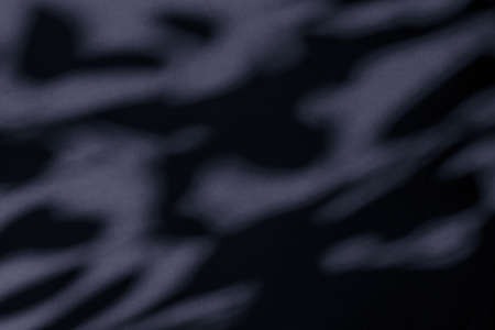 Brand design, textured effect and artistic backdrop concept - Abstract art, botanical shadows...